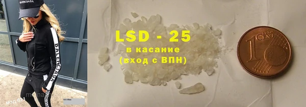 прущие грибы Абаза