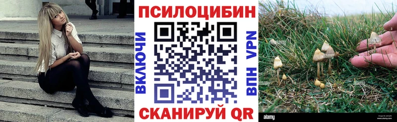 Галлюциногенные грибы MAGIC MUSHROOMS  ссылка на мегу зеркало  Нижний Тагил 